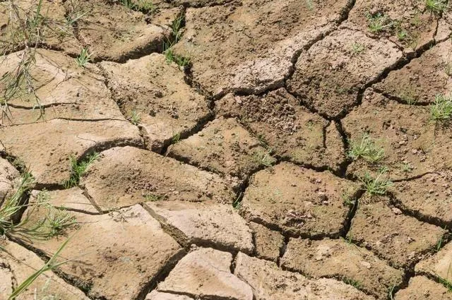 Índice de Plasticidad del Suelo