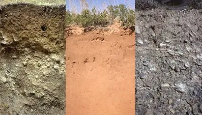 Clasificación del Suelo